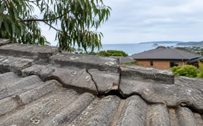 Cracked Roof Tiles: Fix Now or Wait? A Peninsula Guide